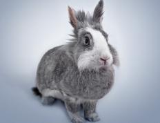 开云下载-金球的光芒与非洲的黎明，个人英雄主义与团队铁壁的隔空对话