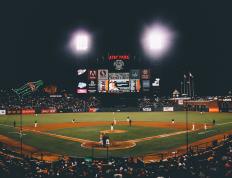 开云下载-温网完胜法网，穆雷的救赎与荣耀