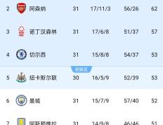开云体育入口-纽卡斯尔再添分患，英超降级阴影