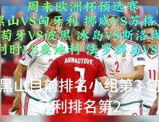 开云平台-奥地利队再胜冰岛，彻底击败