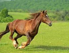 开云体育官方网站-包含马耶遇德摆脱苦战，主场险胜对手的词条