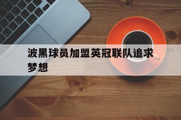 开云APP-波黑球员加盟英冠联队追求梦想