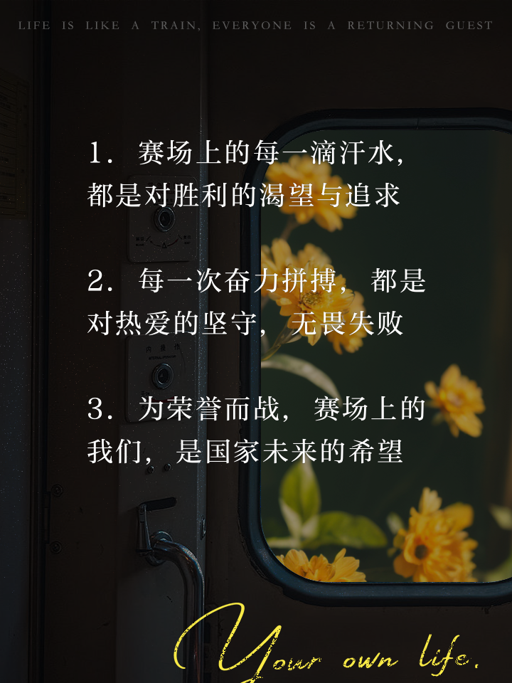 开云体育官网-精彩纷呈！各队为胜利而努力拼搏