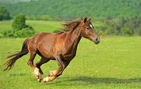 开云体育官方网站-包含马耶遇德摆脱苦战，主场险胜对手的词条