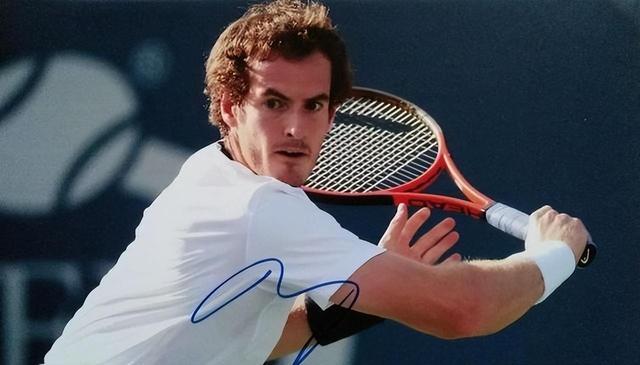 开云体育app-ATP总决赛横扫温网,穆雷点燃赛场的简单介绍